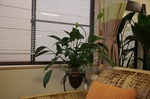 IMG_8435.jpg