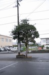 IMG_8443.jpg