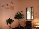 P5230790.jpg