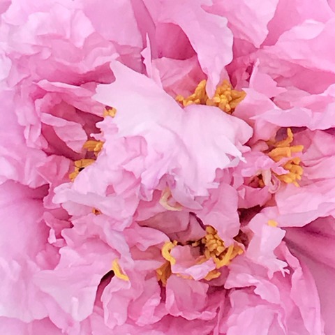 74F525A5-DC47-48B8-8B0B-590E9C30ABD2.jpg