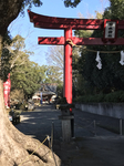 84392EEA-2611-4AC7-8DD8-1E44B5C14C5A.jpg