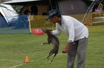 IMG_0296.jpg