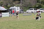 IMG_0471.jpg