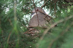 IMG_2403000110.jpg