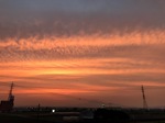 IMG_3540.JPG
