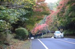 IMG_8697.jpg