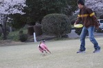 IMG_9962.jpg