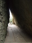 P1101157.jpg