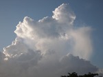 P6243264.jpg