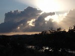 P6243274.jpg