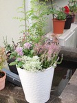 P9241670.jpg