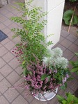 P9241677.jpg