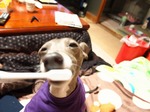 PB045144.jpg