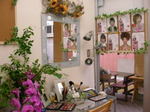 SANY0297_11.jpg