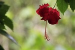 _MG_6813.jpg