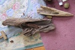 _MG_7063.jpg